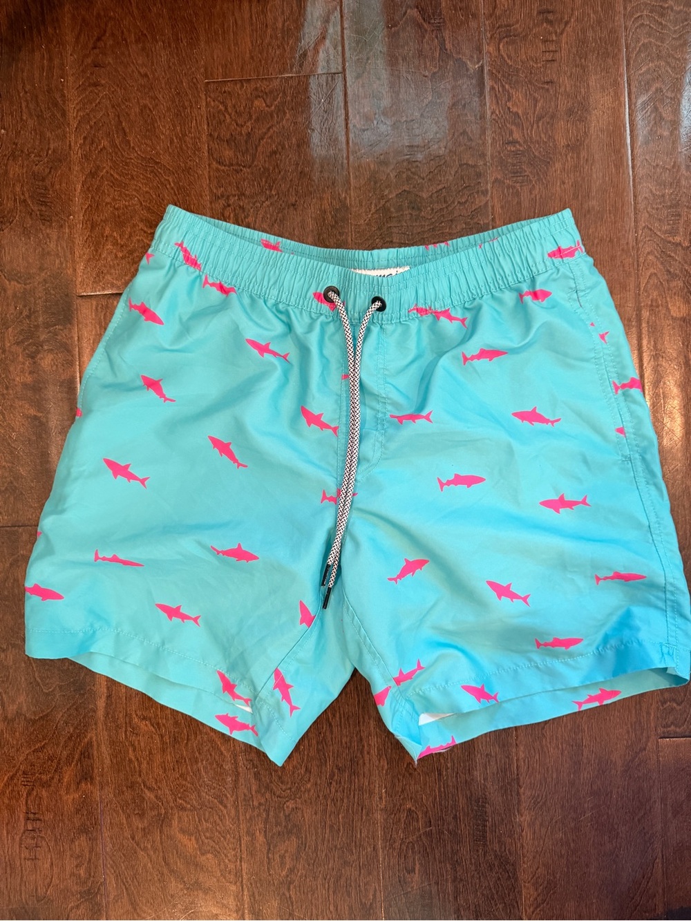 Aqua Swim Trunks with Pink Shark Print